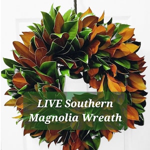 Couronne de magnolia du sud vivante - 18"-36" FRAIS ! Fait sur commande avec branches de magnolia premium, vacances, mariages, ferme, rustique, décoration d'intérieur