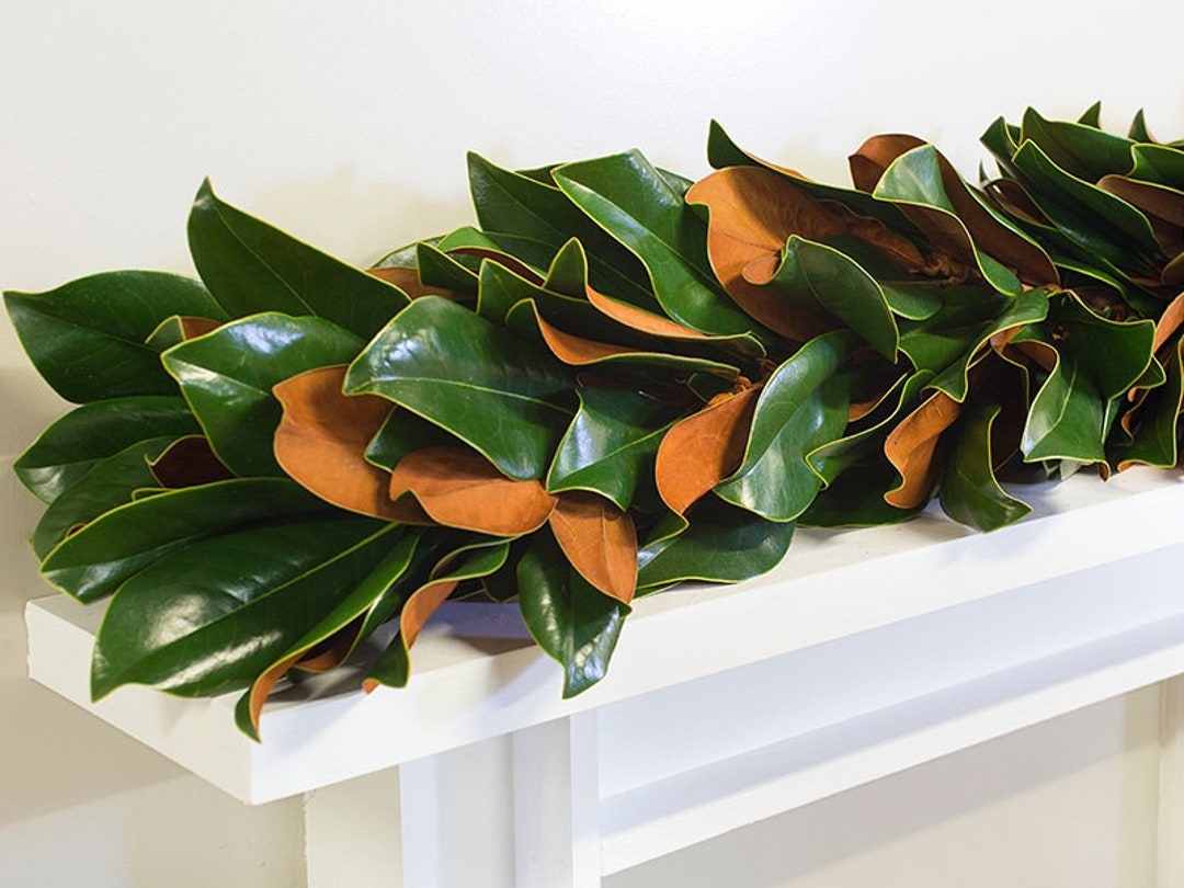Live Southern Magnolia Garland SALE Fresh and Madetoorder, Weddings, Holiday Decor, Fireplace