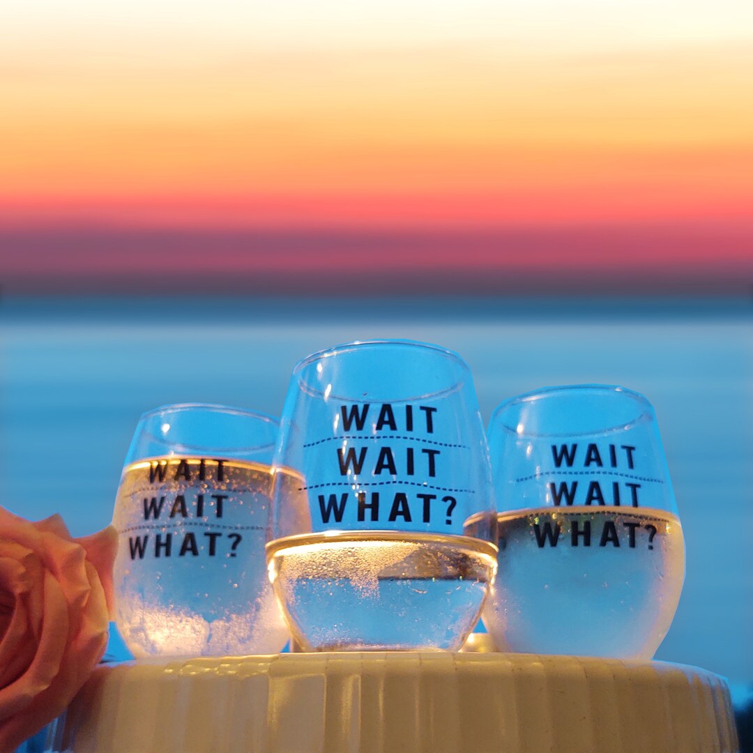 Wait Glass Wait Wait What Funny Stemless Wine Glass - Etsy