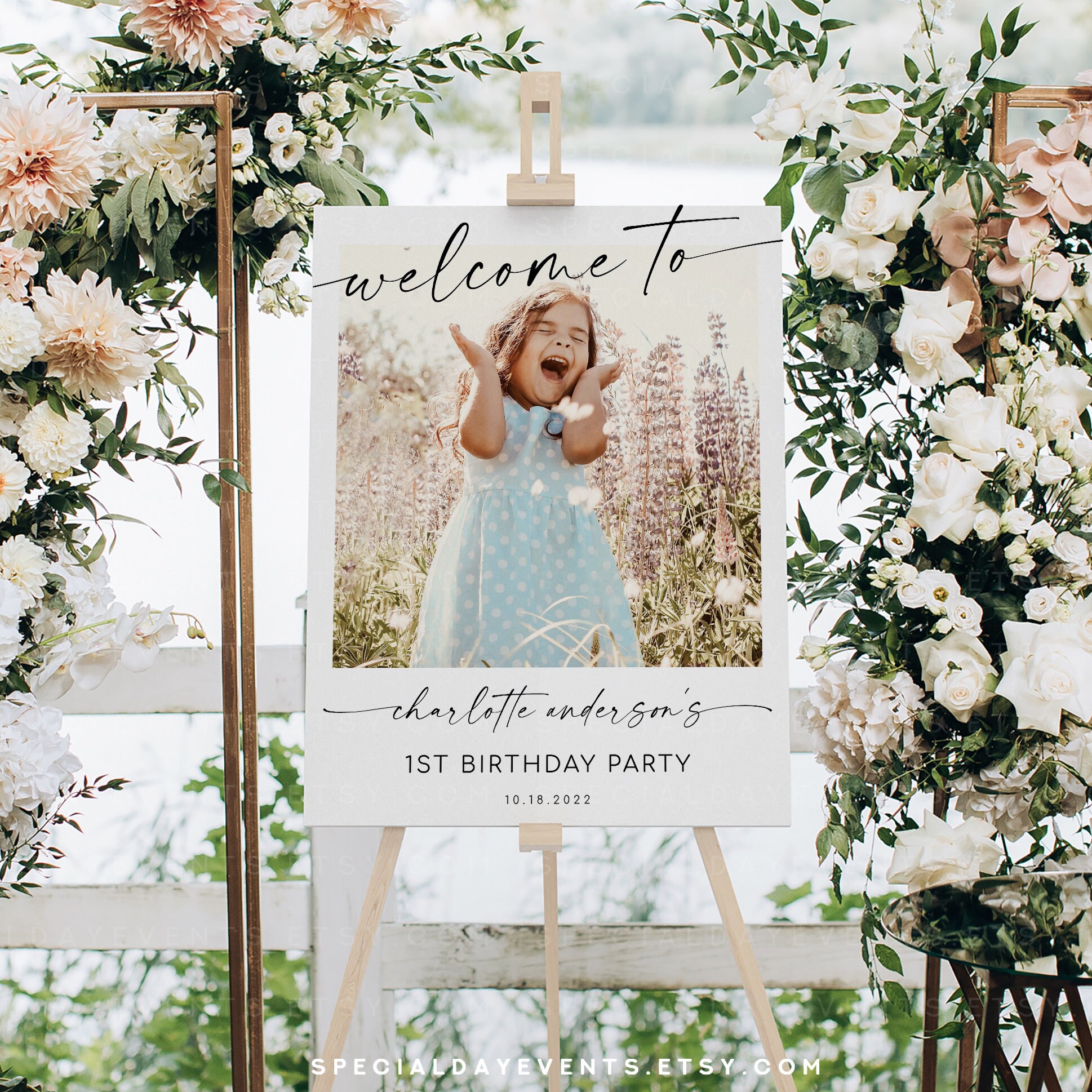 Birthday Party Sign Birthday Sign Photo Etsy