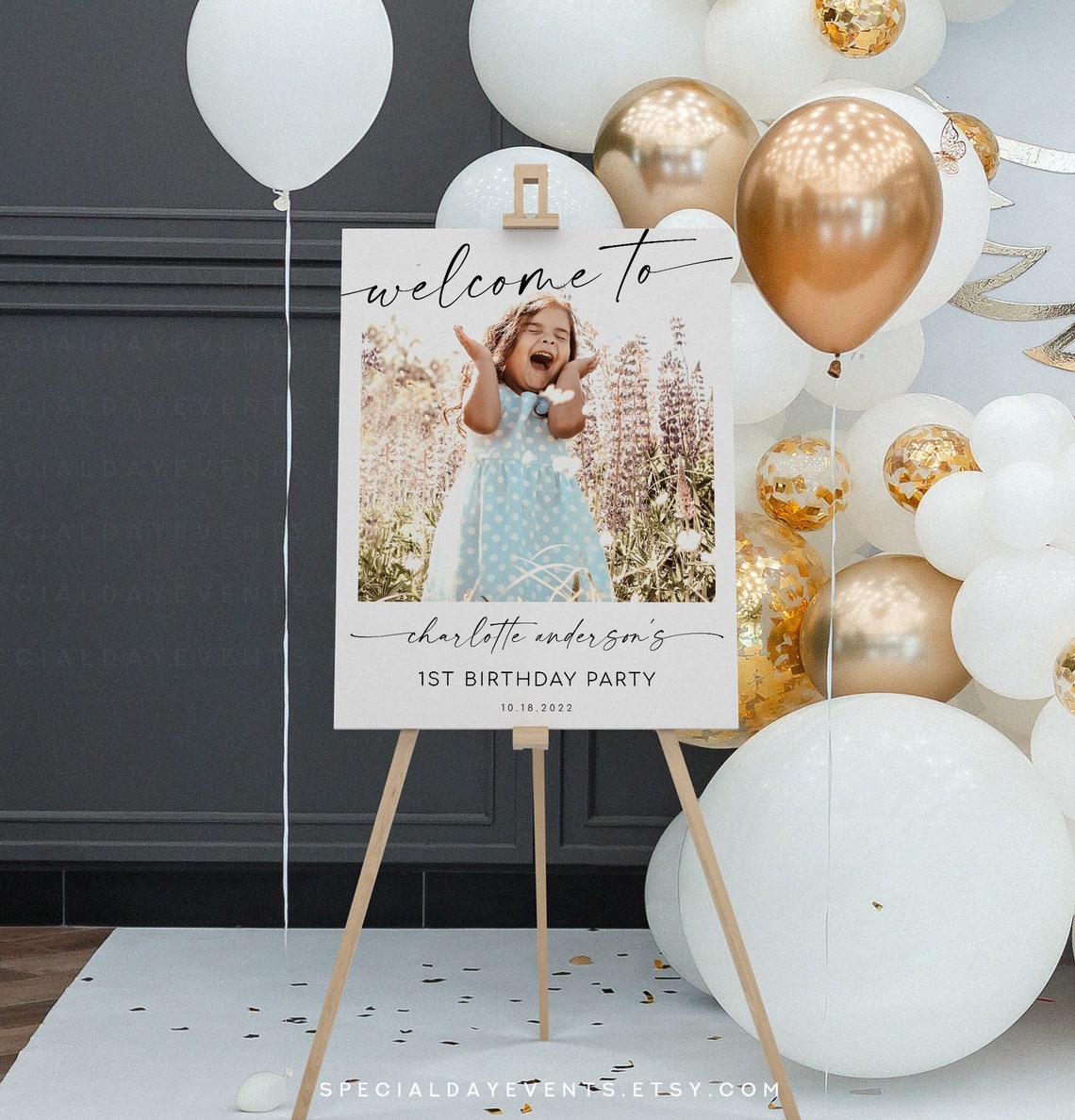 Birthday Party Sign Birthday Sign Photo Etsy