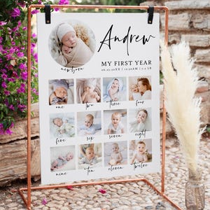 First Birthday Sign, Photo Milestone Birthday Sign, Milestone Birthday Poster, Birthday Sign Template, 1st Birthday Milestone Sign, Lily