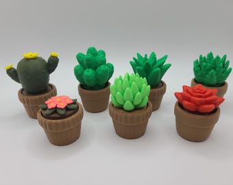 Cactus and succulent fidget clickers