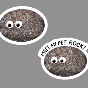 PET ROCK ispirato divertente giocattolo retrò per bambini GOOGLY Eye regalo adesivo e/o segnalibro