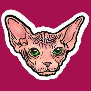 Sticker et / ou marque-page chat sphynx super mignon rigolo rides minou ridé yeux verts
