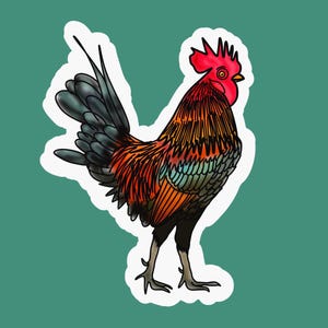 GALO Brilhante Colorido Bonito Desenho Fazenda Galinha de Curral Pássaro do Campo Cockadoodledoo Vermelho Laranja Amarelo Verde Azul-petróleo Preto Marrom Adesivo