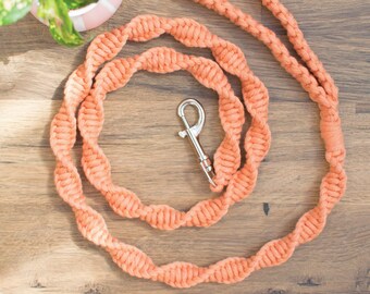 Peach wedding dog leash. Pastel orange macrame dog lead. Luxury dog accessories for dog at wedding, ring bearer, dog of honour or show dog