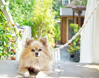 Hochzeits-Hundeleine für Hunde-Ringträger oder Ehrenhund. Makramee Hundeleine im Boho-Stil. Luxus Hunde Accessoires für die Hundehochzeit Outfit Kleidung