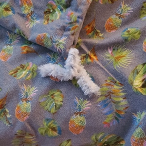 Pineapple gift bag