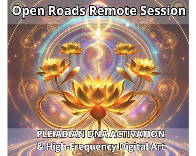 Open Road Pleiadian Session – Light Language channeling & High-Frequency Digital Art