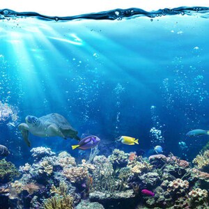May include: A vibrant underwater scene with a sea turtle swimming over a coral reef. The reef is teeming with colorful fish, including blue, yellow, and orange varieties. Sunlight streams down through the water, creating a shimmering effect.