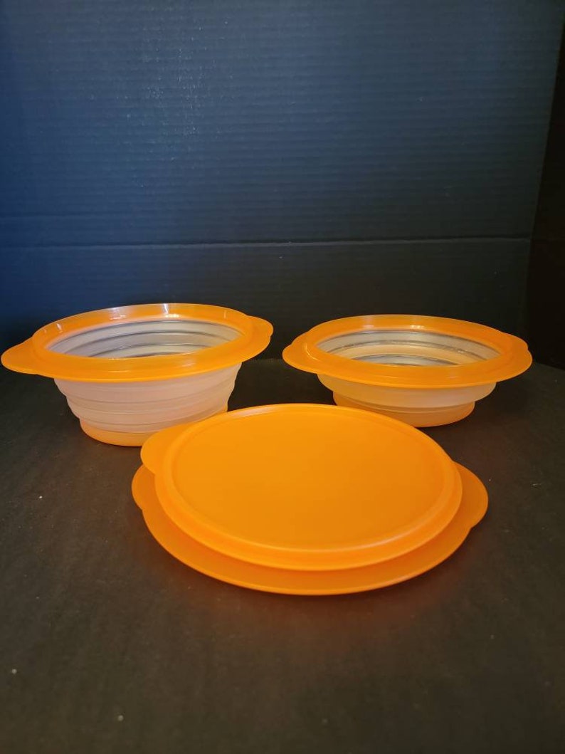 Tupperware Flat-out Container W Lid Collapsible/expandable 4 Cups Space ...