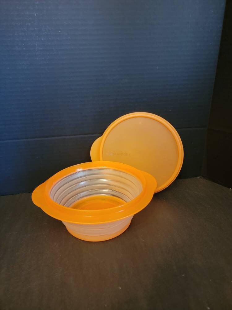 Tupperware Flat-out Container W Lid Collapsible/expandable 4 Cups Space ...