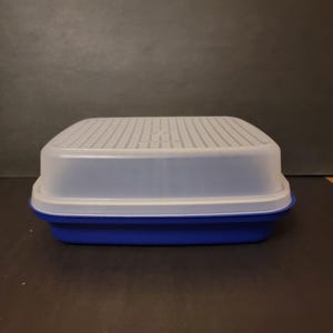 Vintage TUPPERWARE Blue Season Serve Meat Marinator Bottom Grid Rectangular Hot Dogs Bacon Keeper Storage #1294