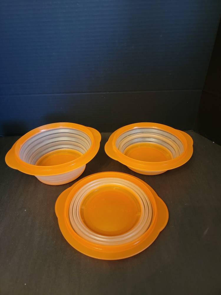 Tupperware Flat-out Container W Lid Collapsible/expandable 4 Cups Space ...