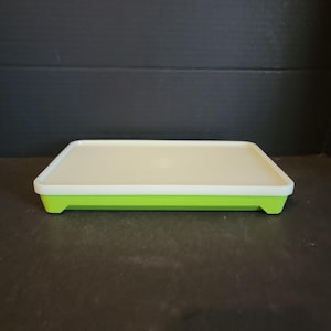 May include: A green and white plastic serving tray with a raised edge. The tray has a smooth, flat surface and four small feet.