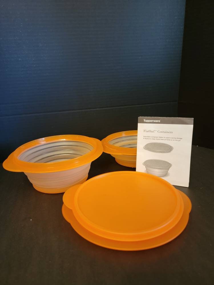 Tupperware Flat-out Container W Lid Collapsible/expandable 4 Cups Space ...