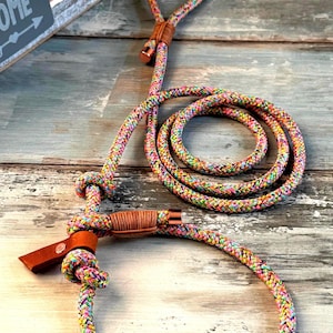 Op de afbeelding: Een kleurrijke hondenriem met een gevlochten touwontwerp in tinten roze, geel, groen en blauw. De riem heeft bruine leren accenten en een metalen sluiting. De riem is opgerold op een houten oppervlak.