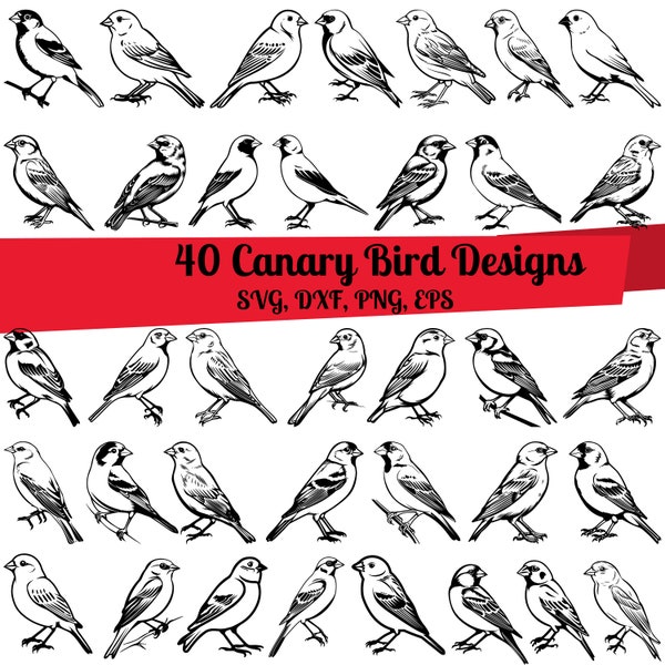 40 Canary Bird SVG Bundle, Canary Bird dxf, Canary Bird png, Canary Bird vector, Canary Bird outline, Canary Bird clipart, Canary on Branch