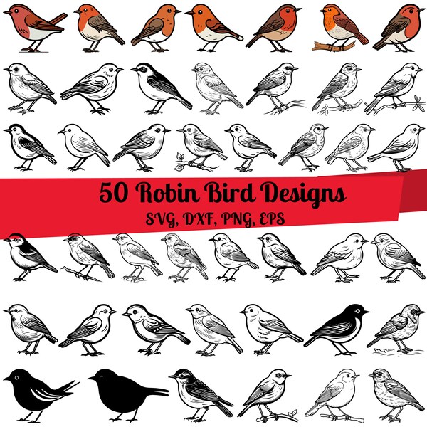 50 Robin bird SVG Bundle, Robin bird dxf, Robin bird png, Robin bird eps, Robin bird vector, Robin bird design, Robin bird outline