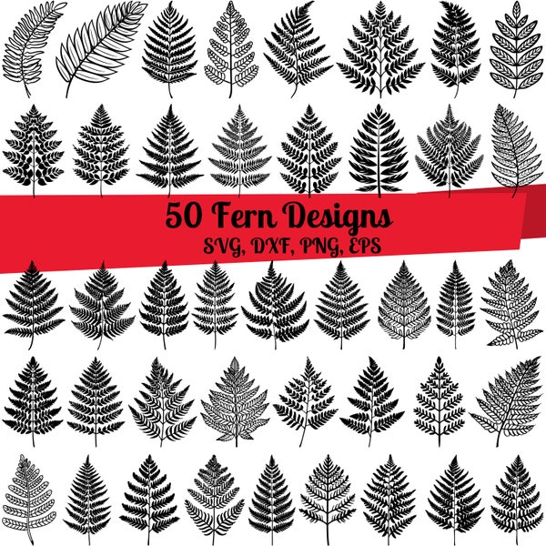 50 Fern SVG Bundle, Fern dxf, Fern png, Fern vector, Fern outline, Fern clipart, Fern Leaf svg, Tropical Plant svg, Flourish Leaf svg