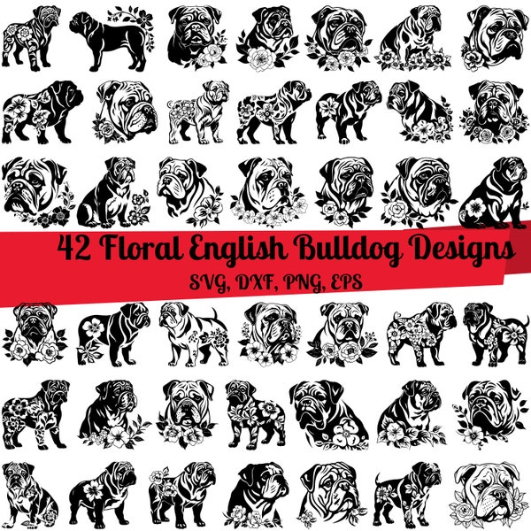 42 Floral English Bulldog SVG Bundle, English Bulldog dxf, English Bulldog png,English Bulldog eps,English Bulldog vector,Floral Bulldog svg