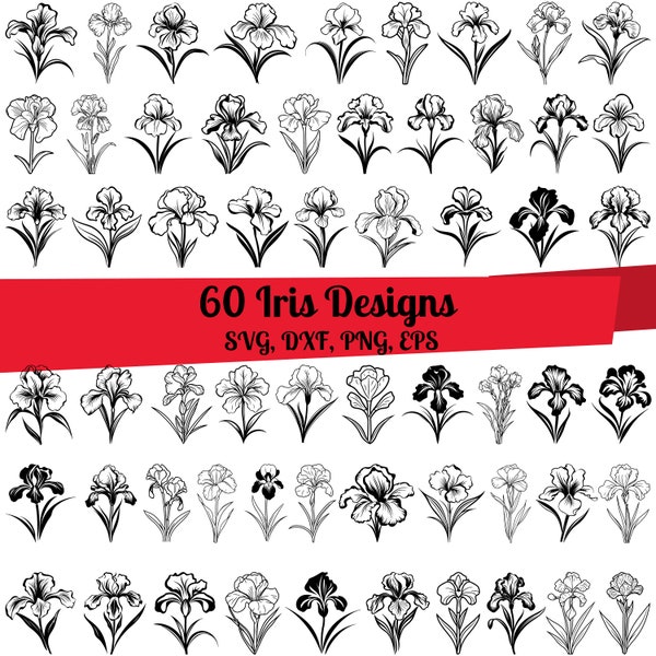 60 Iris SVG Bundle, Iris Line Art, Iris Flower svg, Iris dxf, Iris png, Iris  eps, Iris  vector, Iris cut files, Iris outline, Iris Cut file