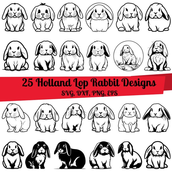 Holland Lop - Etsy
