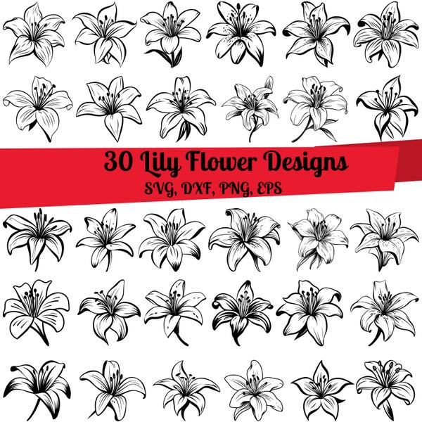 30 Lily Flower SVG Bundle, Lilies svg, Lily Flower dxf, Lily Flower png, Lily Flower vector, Lily Flower outline, Lily Flower line art