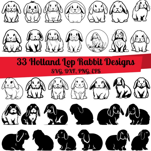 33 Holland Lop Bunny SVG Bundle, Holland Lop Rabbit svg, Conejo de orejas caídas svg, Mini Lop svg, English Lop svg, Holland Lop png