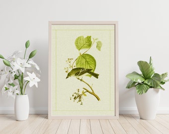 Vintage Bird wall Art JPEG 2022, Green Vintage bird Painting digital download, antique holiday wall art, vintage leaf , Single motif wallart