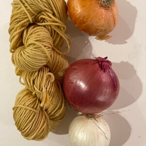 Worsted superwash merino yarn dyed with onion skins