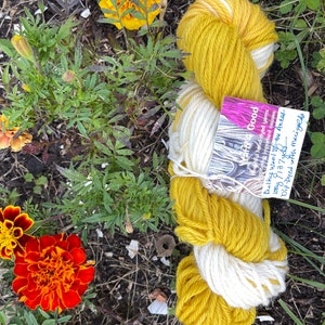 Bulky wool yarn hand-dyed/dip-dyed with marigolds!