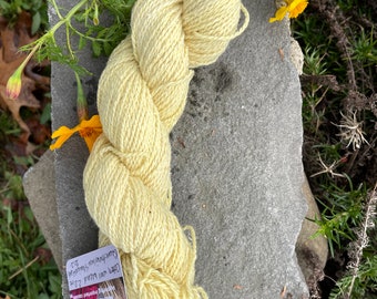 DK weight cotton/wool blend yarn hand-dyed in fresh marigolds