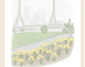 Daffodils in Paul Revere Park Charlestown Print | Boston Print | Boston Wall Art