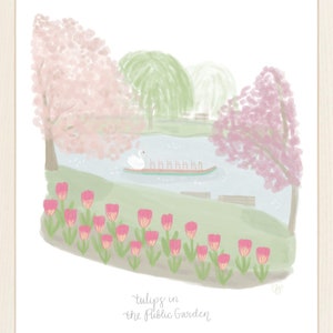 Tulips in the Public Garden Print | Boston Print | Boston Wall Art