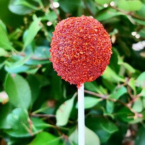 May include: A red cake pop covered in red sprinkles on a white stick. The cake pop is in front of a green leafy background.
