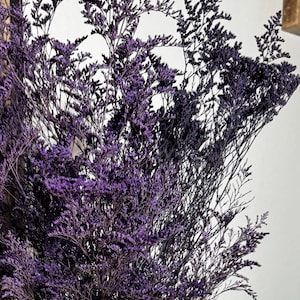 Purple Preserved Caspia: Dried Flower Bouquet Filler (4oz)