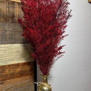 Red Preserved Caspia Stems: Rustic Dried Flower Bouquet, Holiday Decor