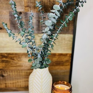 Preserved Eucalyptus Bundle: Frosted Green Boho Decor