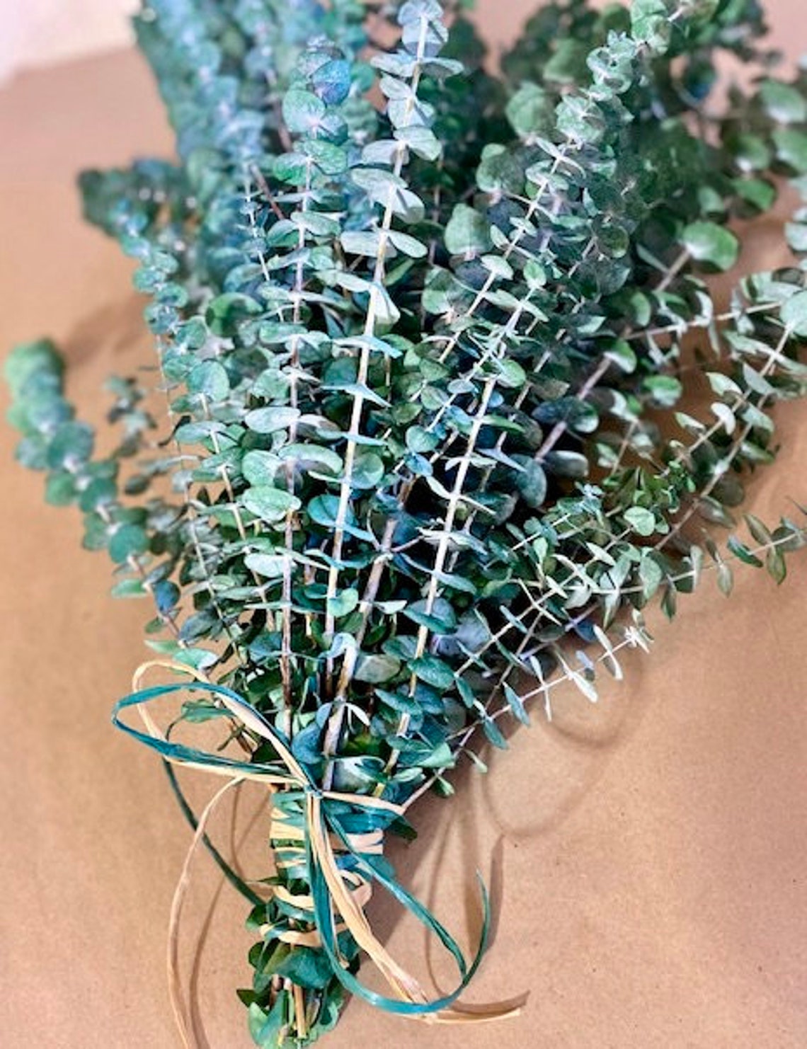 Dried Eucalyptus Bunch Frosted Eucalyptus Bundle Dried Etsy