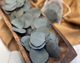 Preserved Silver Dollar Eucalyptus Petals: Wedding Confetti, Table Decor
