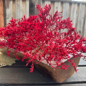 Red Dried German Statice Stems: Rustic Holiday Flower Filler