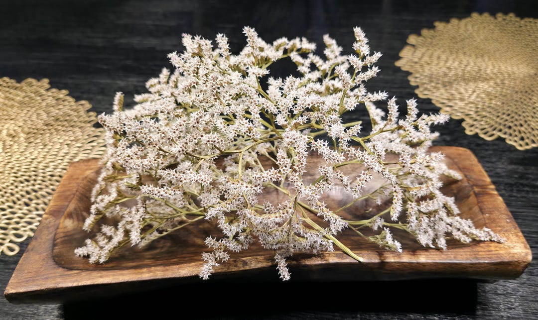 Natural Dried German Statice Stems: Boho Wedding Decor, 1oz - Etsy
