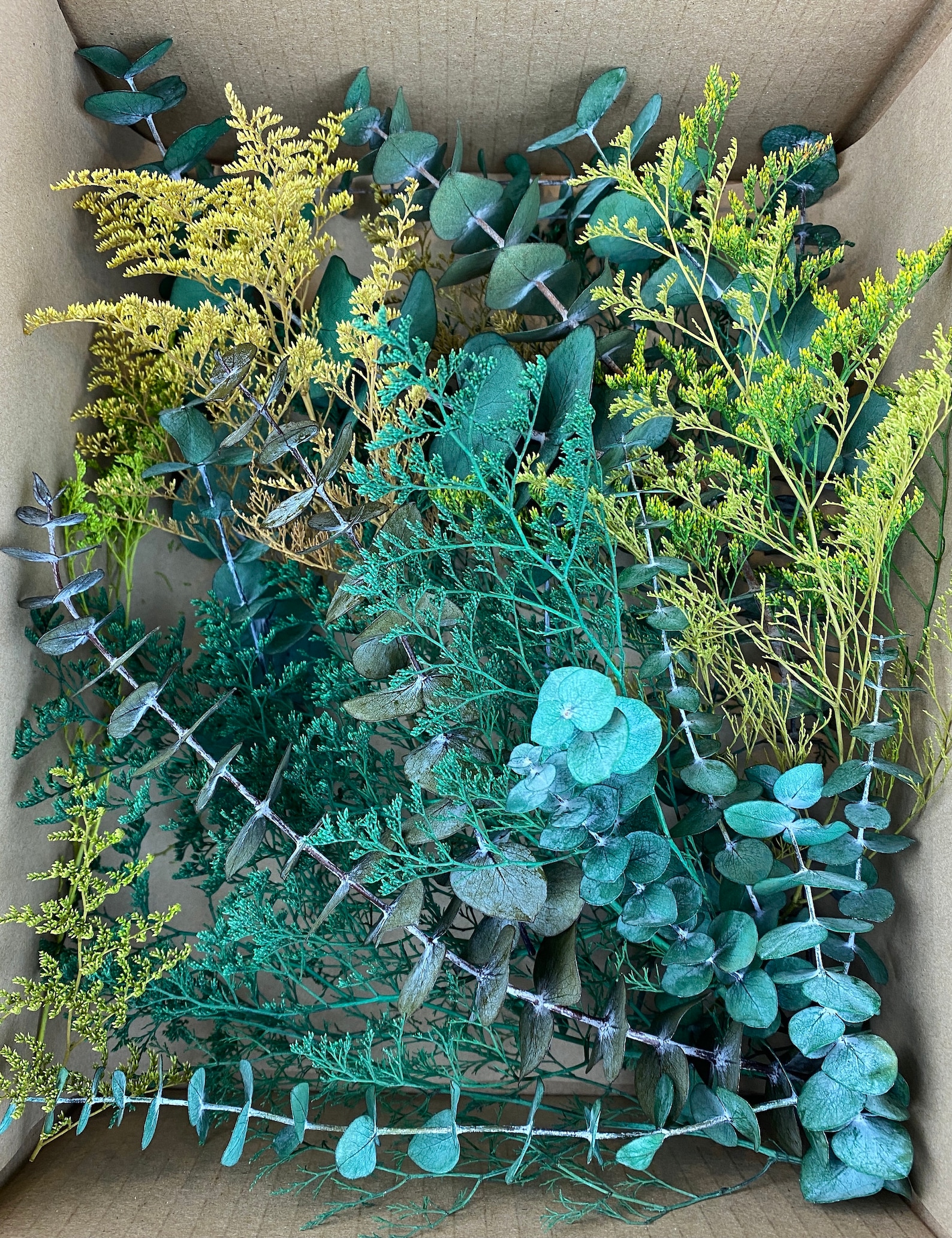 Dried Flower Craft Box Preserved Eucalyptus Sprigs Preserved Etsy