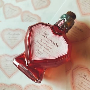 May include: A heart-shaped bottle of Amortentia, a fictional love potion from the Harry Potter series, with a red liquid and a silver stopper. The label reads "Amortentia, The most powerful love potion in existence. WARNING:  Drink in small doses. Use with CAUTION."