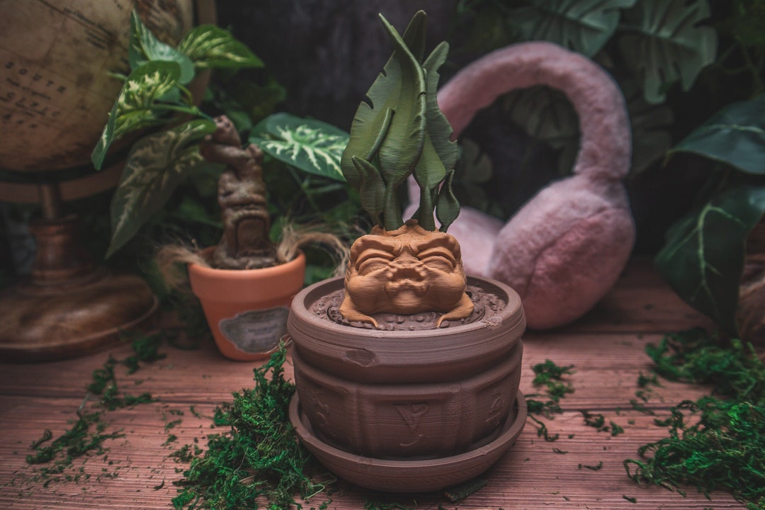 Mandrake Plant Pot Container Multifunctional Herbology Etsy