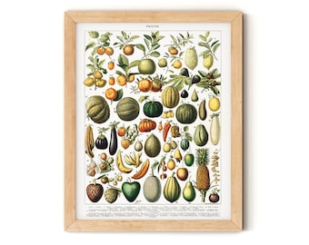 Beautiful Vintage fruit print, Adolphe Millot fruit Print, Romantic Botanical Print, Vintage Tropical Plants, Boho art Print.