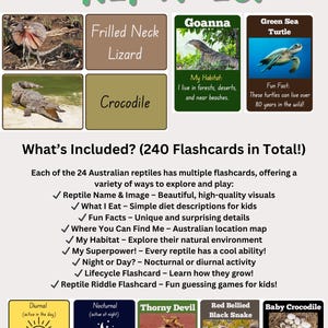 Puede incluir: Una infografía colorida con ilustraciones de reptiles australianos, incluyendo un cocodrilo, una goanna, un lagarto de cuello fruncido, una tortuga verde marina, un monitor de arena, una pitón alfombra, un diablo espinoso, una serpiente negra de vientre rojo y un cocodrilo bebé. La infografía incluye información sobre el hábitat, la dieta y las características únicas de cada reptil. El texto "What's Included? (240 Flashcards in Total!)" está en la parte superior de la infografía.