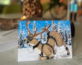 A Nutty Knotty Holiday----Set of 8 Xmas Cards, ALL TIED UP